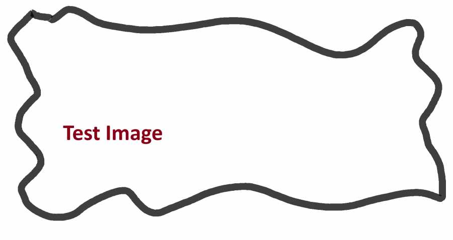 Test Image.png